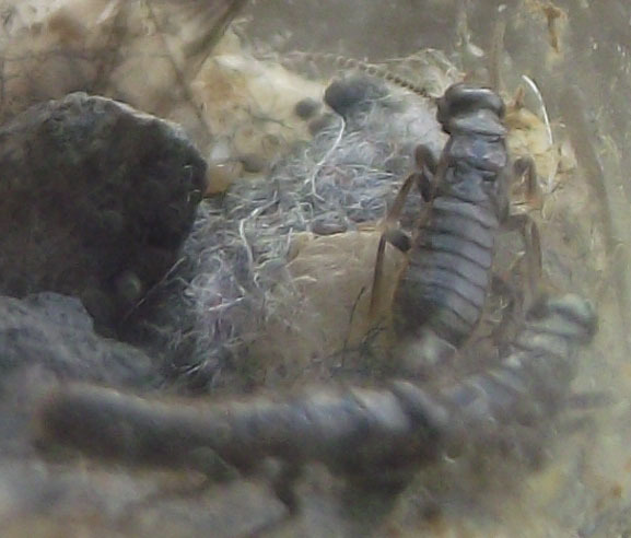 DSCF5339.JPG