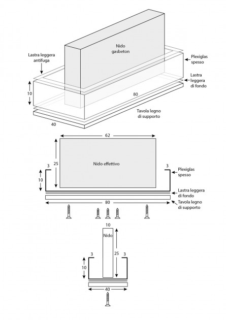 Progetto nido Messor.jpg