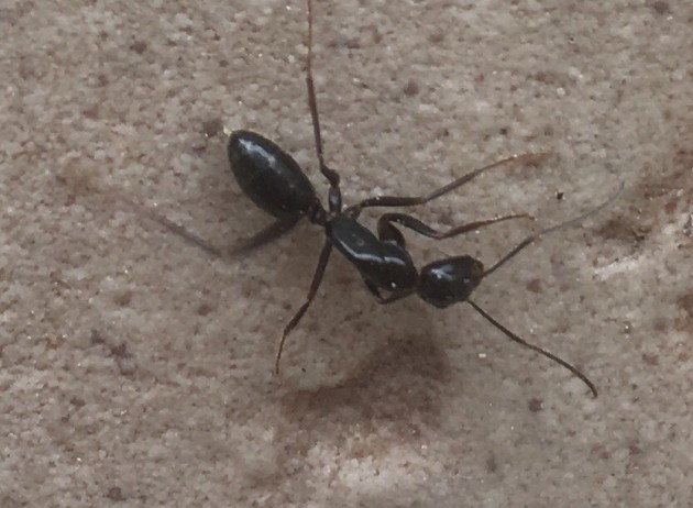 F74D565E-BEE4-4B45-BAB5-F7B6E5FD363F.jpeg