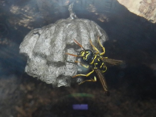 RSCN2353.JPG