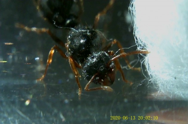 JPG00154.JPG
