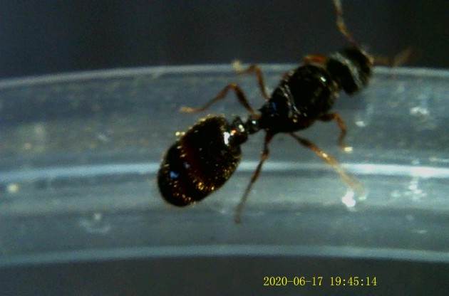 JPG00157.JPG