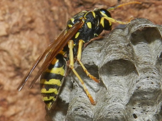 RSCN2399.JPG
