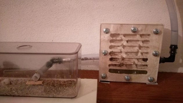 formicaio.jpg