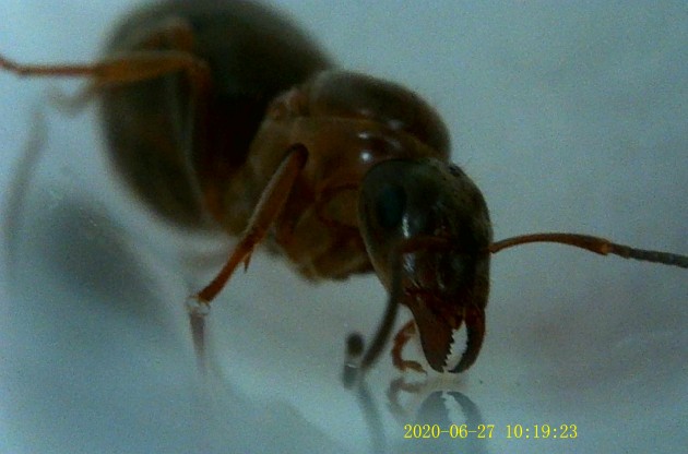 JPG00178.JPG