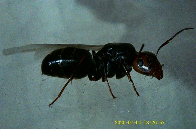 JPG00201.JPG