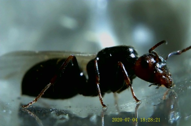 JPG00205.JPG