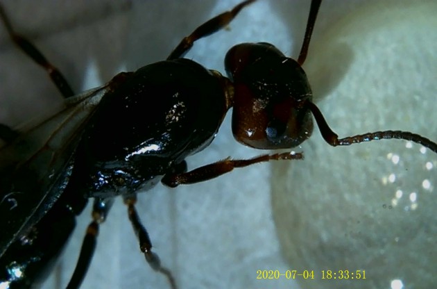 JPG00207.JPG