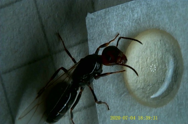 JPG00209.JPG