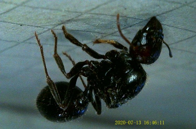 JPG00232.JPG