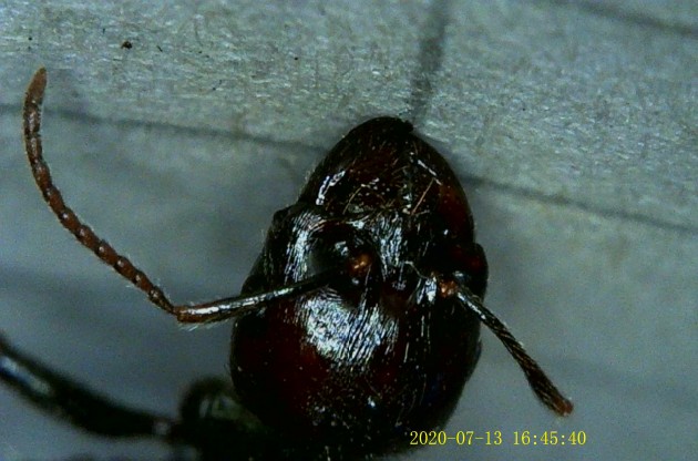 JPG00231.JPG