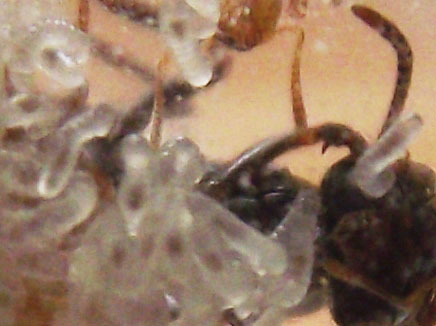 DSCF3797.JPG