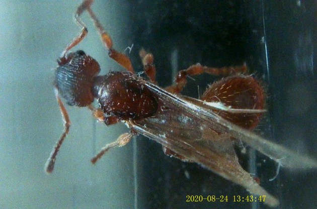 JPG00034.JPG
