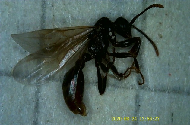 JPG00038.JPG