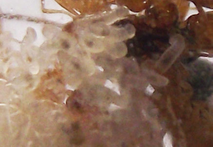 DSCF3803.JPG