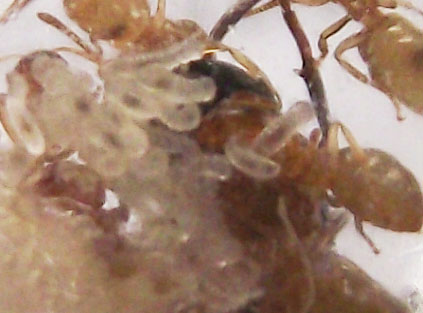 DSCF3806.JPG
