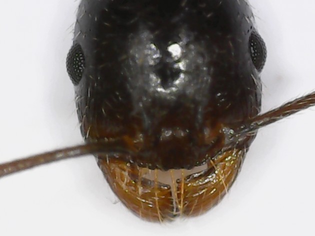 S20200922_0002.jpg