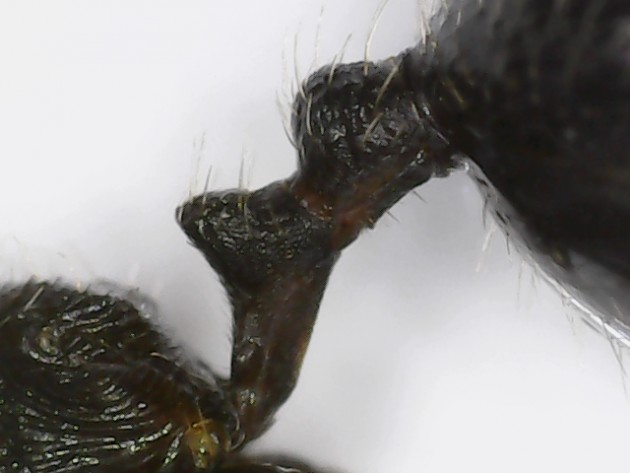 S20200922_0032.jpg