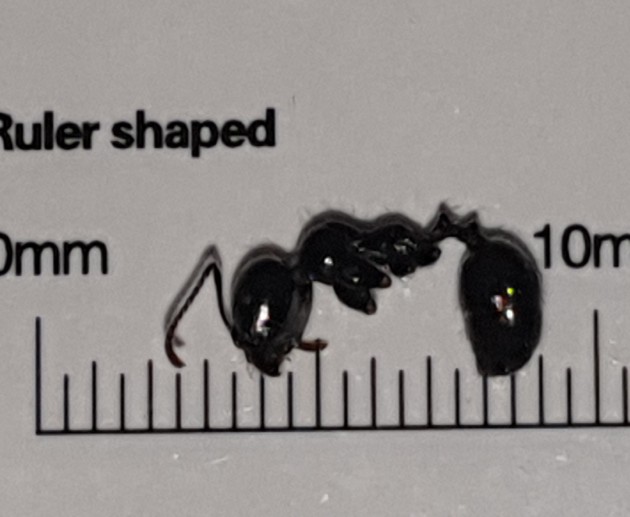 20201003_172257.jpg