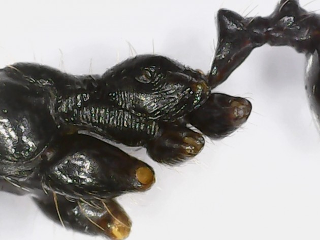 S20201003_0001.jpg