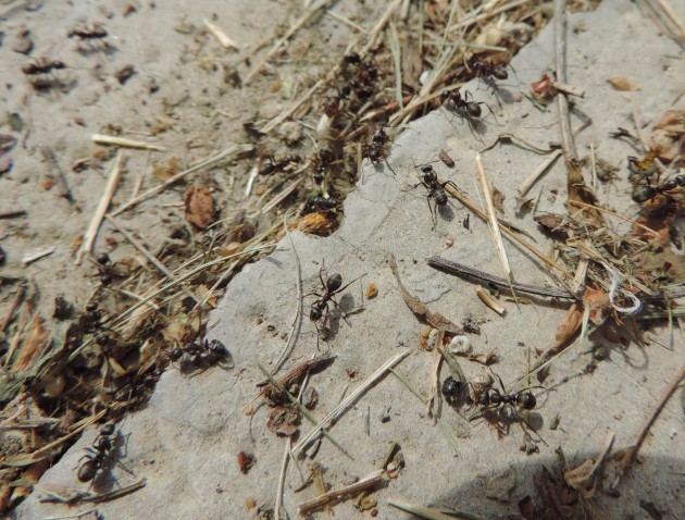 DSCN7122-min.JPG
