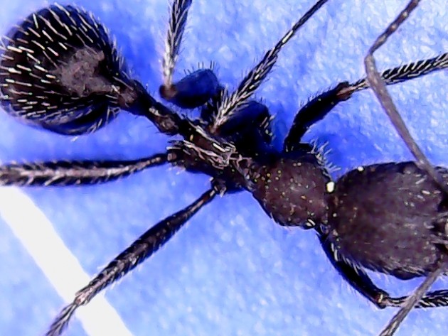 S20210731_0002.jpg
