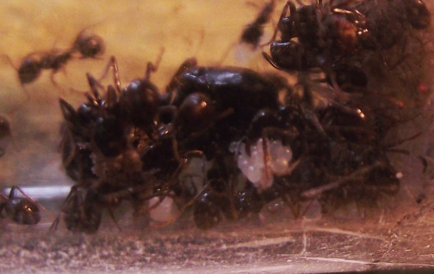 DSCF5498.JPG