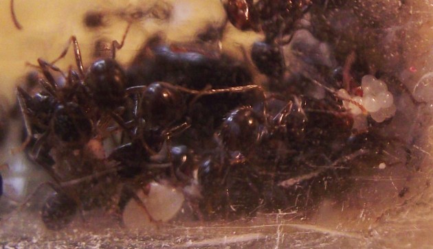 DSCF5497.JPG