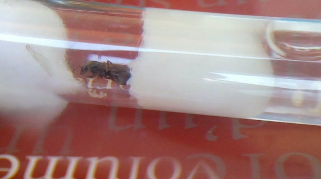 2013-06-15-899_1.jpg