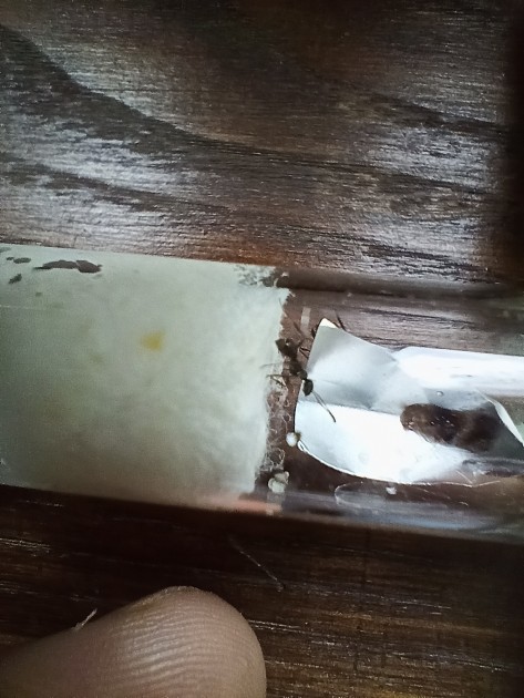 IMG20210824103352.jpg