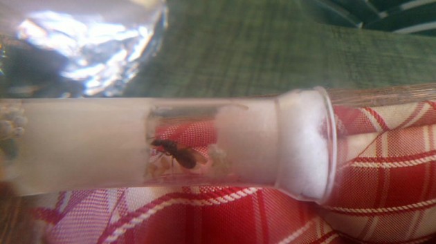 2013-06-21-904_1.jpg