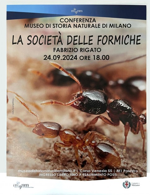 Locandina museo Rigato.jpg