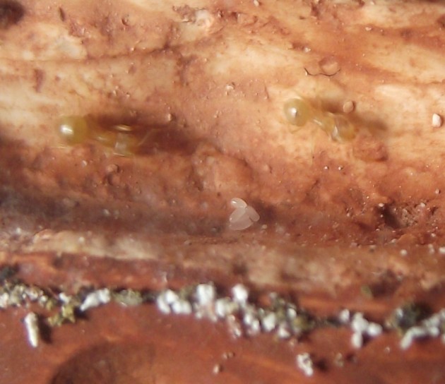 DSCF5546.JPG