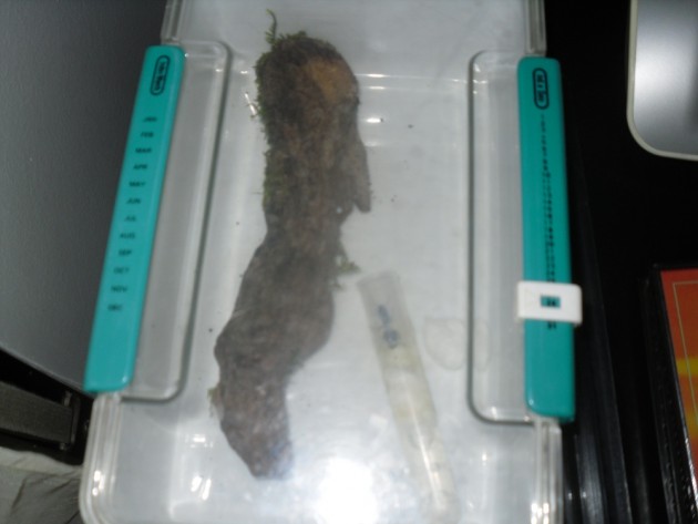 SDC12620.JPG