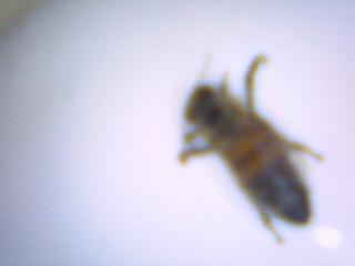 I 135.jpg