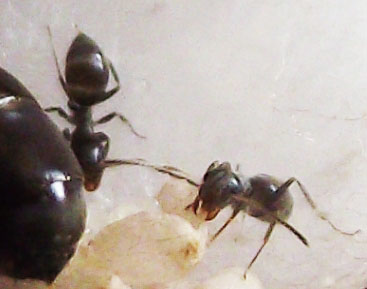 DSCF3901.JPG