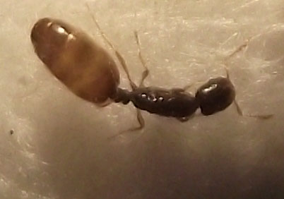 DSCF5640.JPG