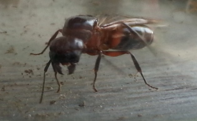 20120818_163047.jpg