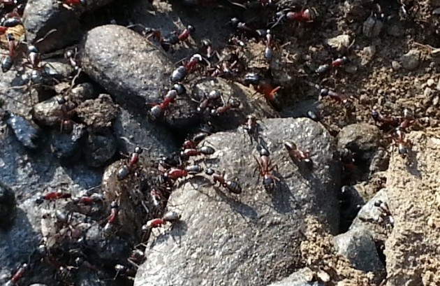 20120818_163135.jpg
