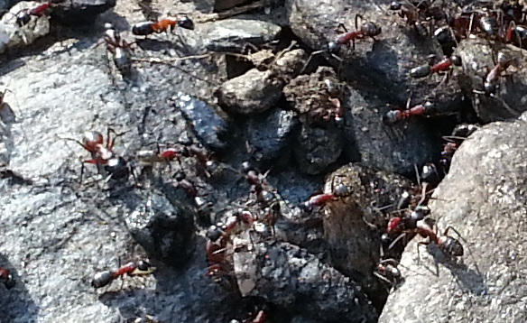 20120818_163137.jpg