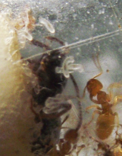 DSCF4066.JPG
