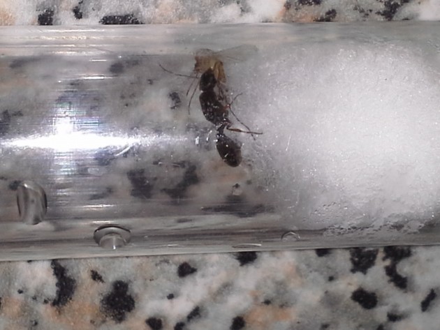 20130922_212553.jpg