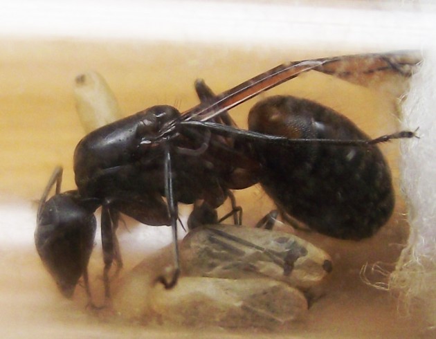 DSCF5862.JPG