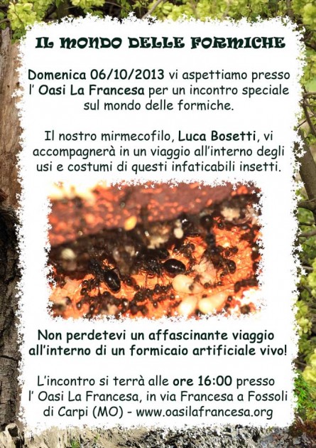 Locandina incontri domenicali.jpg