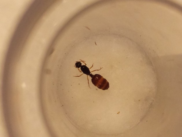 20131001_151942.jpg