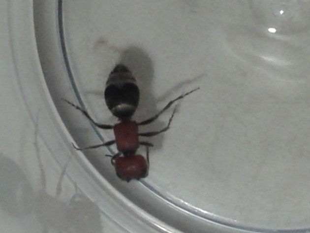 20131003_184209.jpg