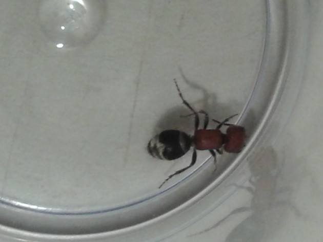 20131003_184246.jpg