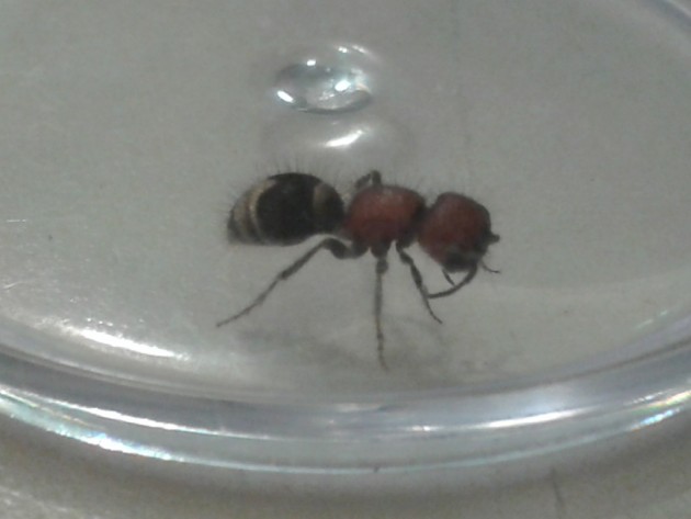 20131003_184327.jpg