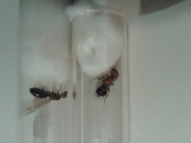 20131003_184827.jpg