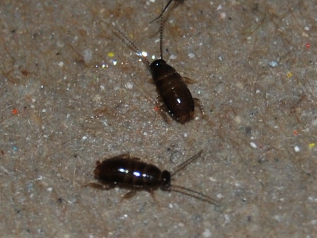 DSC_0368.JPG